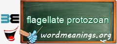 WordMeaning blackboard for flagellate protozoan